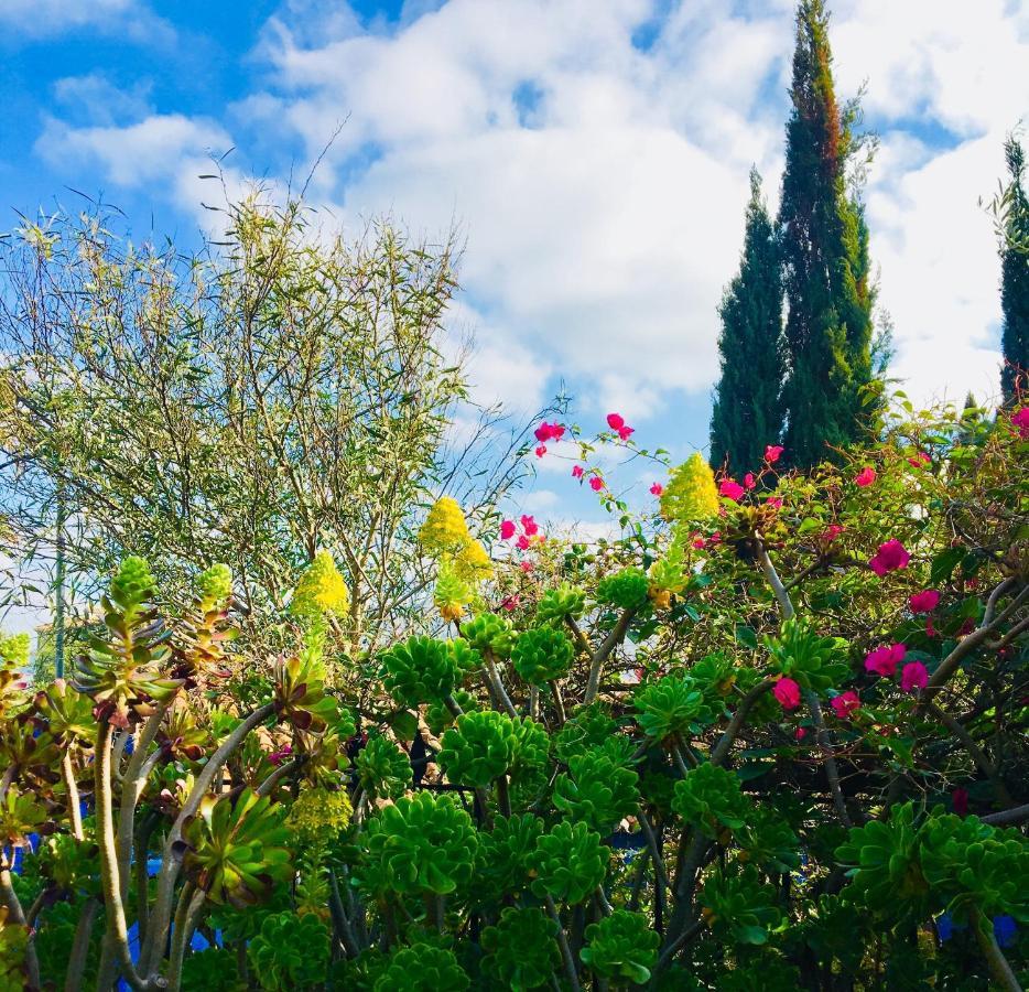 Bohemian Villa - Malaga ألورا المظهر الخارجي الصورة