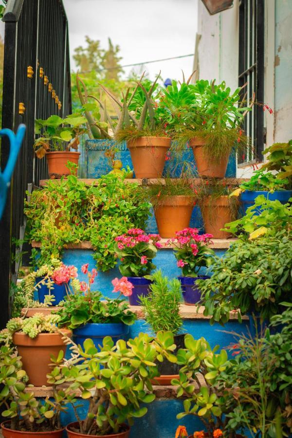 Bohemian Villa - Malaga ألورا المظهر الخارجي الصورة